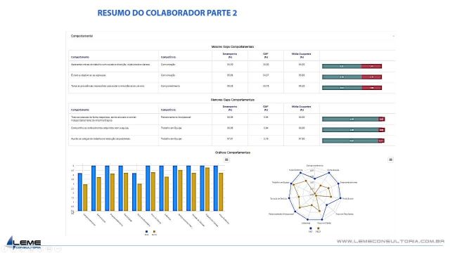 Resumo do Colaborador