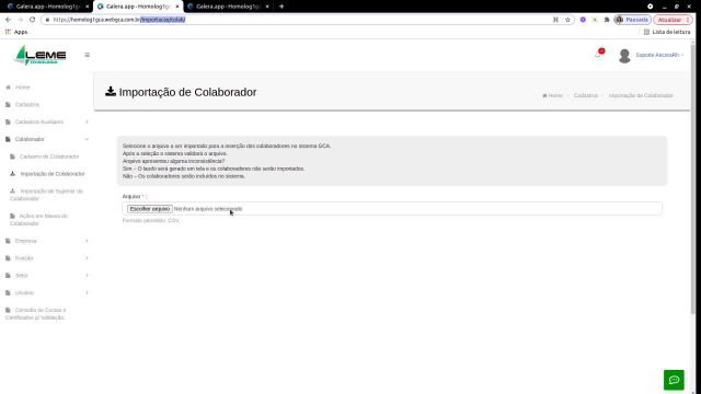 Importação de Colaborador atual