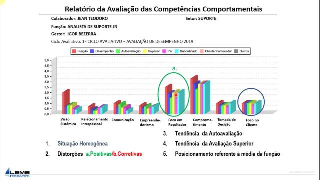 COMO ANALISAR O RELATÓRIO DE COMPETÊNCIAS COMPORTAMENTAIS