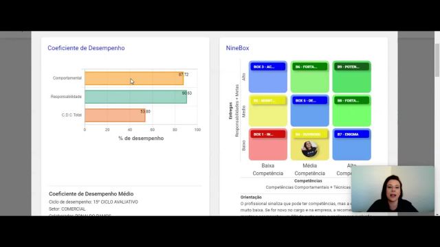 11. Resumo do Colaborador