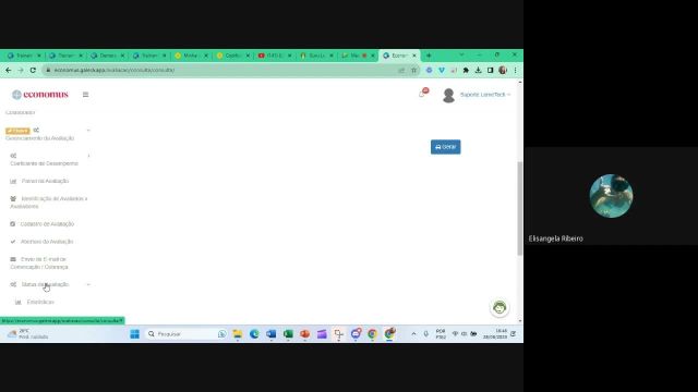 Economus - Treinamento Avaliação - Etapa 6 + Relatórios