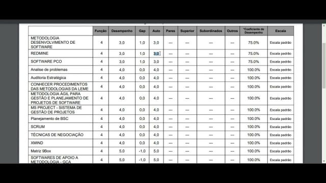 Gestor e Colaborador - Entendendo o Relatório de Competencias Tecnicas